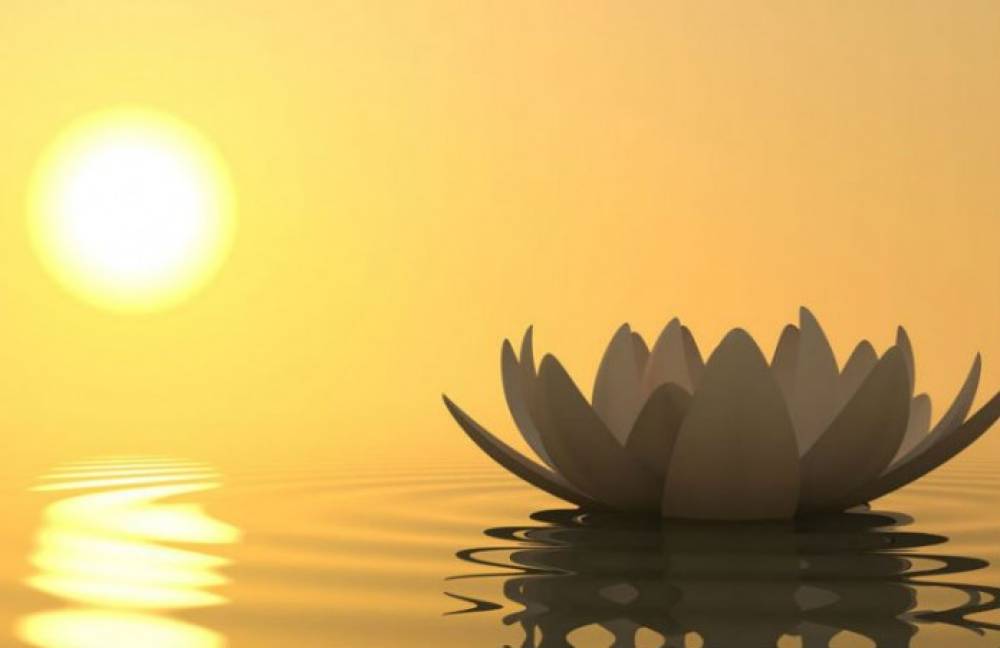 KIẾN GIẢI VỀ CHỮA TRỊ UNG THƯ - PHẦN 11: BÁC SỸ ĐÔNG Y TRỊNH VĂN HỮU CHỮA UNG THƯ