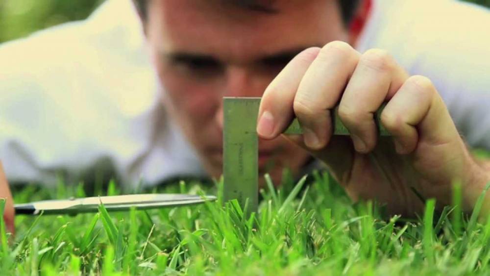 NHỮNG LÚC KHÔNG CẦU TOÀN