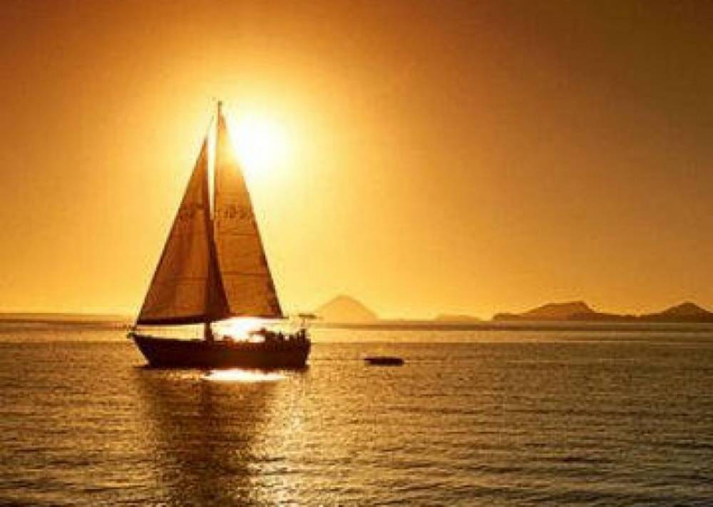 CON THUYỀN HẠNH PHÚC