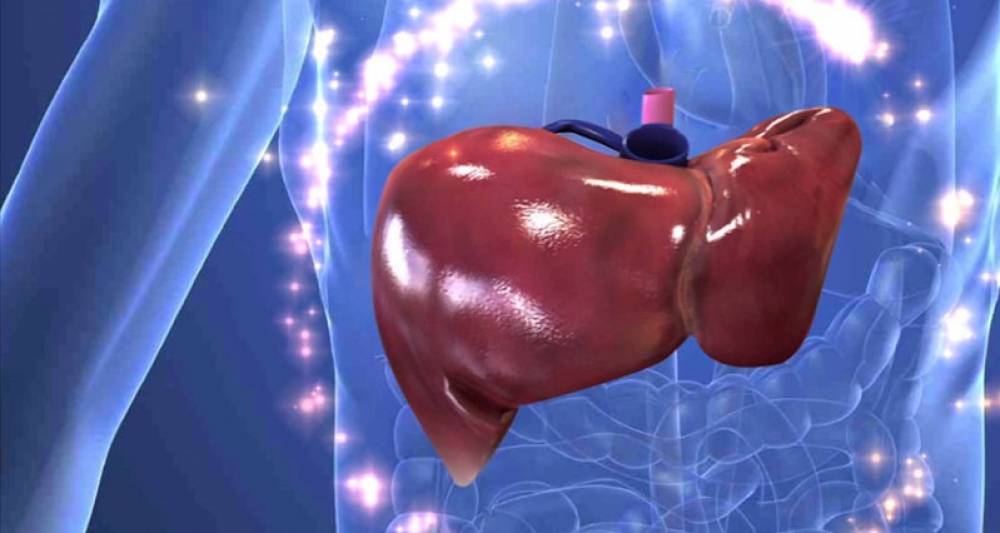 GAN NHIỄM MỠ NGUY CƠ GÂY XƠ GAN, UNG THƯ GAN