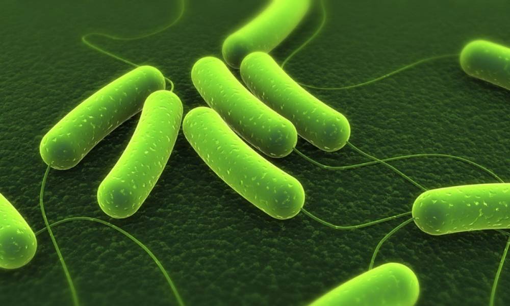 VI KHUẨN HP KHÁNG THUỐC ĐÁNG BÁO ĐỘNG TẠI VIỆT NAM