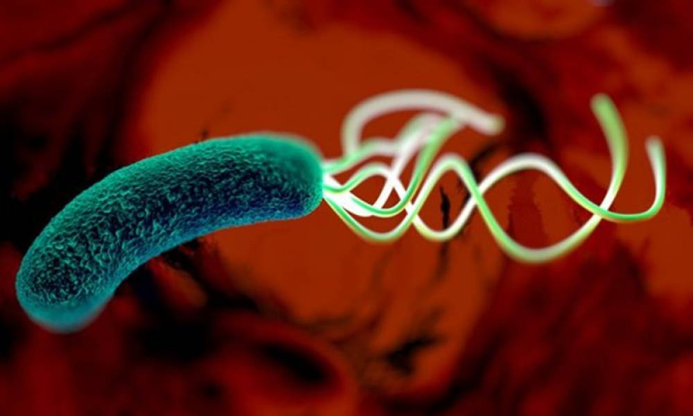 KHÔNG THỂ PHÒNG UNG THƯ DẠ DÀY BẰNG CÁCH TIÊU DIỆT VI KHUẨN HP