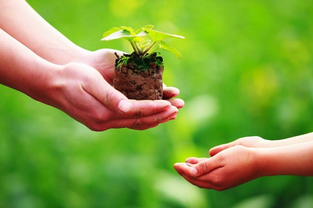 KIẾN GIẢI VỀ CHỮA TRỊ UNG THƯ - PHẦN 6: KINH NGHIỆM CHỮA UNG THƯ CỦA HOÀ HOẢ-LÝ LUẬN Y HỌC VÀ GIÁO DỤC TƯ TƯỞNG Y HỌC