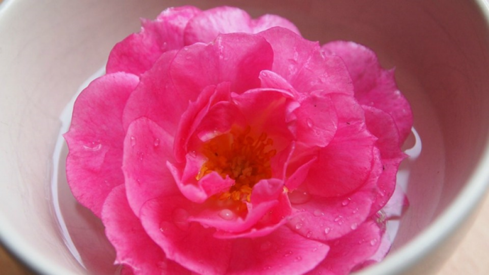 NUÔI DƯỠNG DA TỪ BÊN TRONG NHỜ ĐÔNG Y